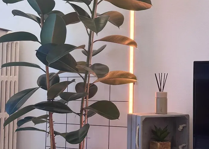 Cozy And Quiet 10 Min From Train Station